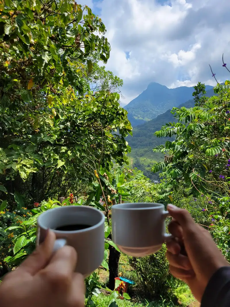 Dos tazas de café sostenidas frente a la vista de los Farallones de Cali, entre vegetación de montaña