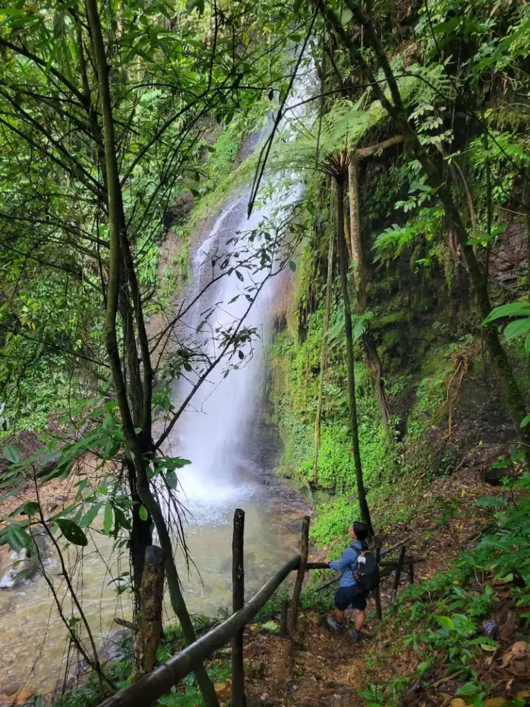 Caminante contempla la cascada desde el sendero de Esmeralda Mágica, rodeado de bosque nativo en Pance