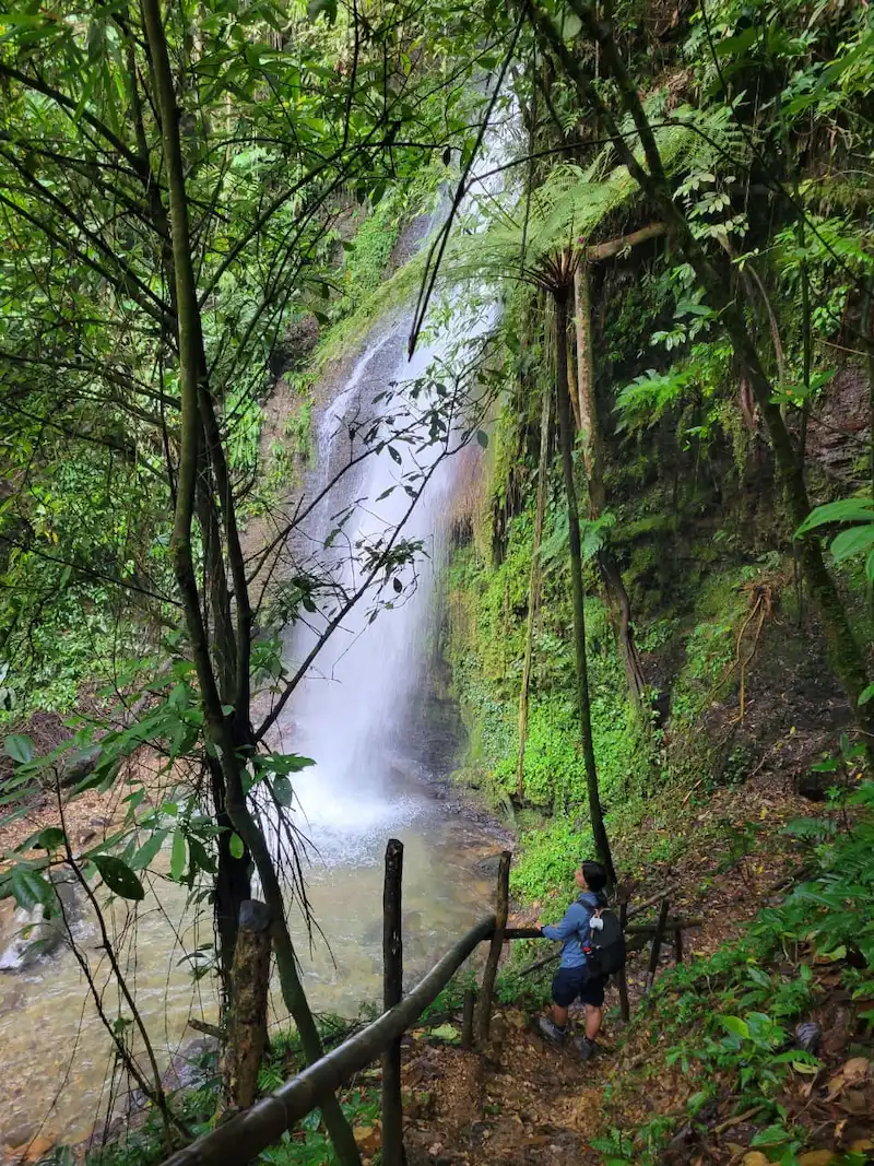 Caminante contempla la cascada desde el sendero de Esmeralda Mágica, rodeado de bosque nativo en Pance