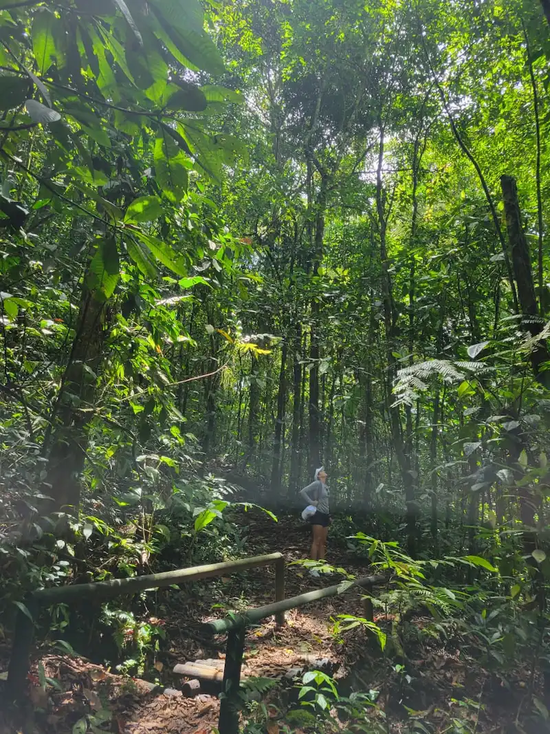 Caminante en el sendero de Esmeralda Mágica entre la vegetación del bosque de Pance