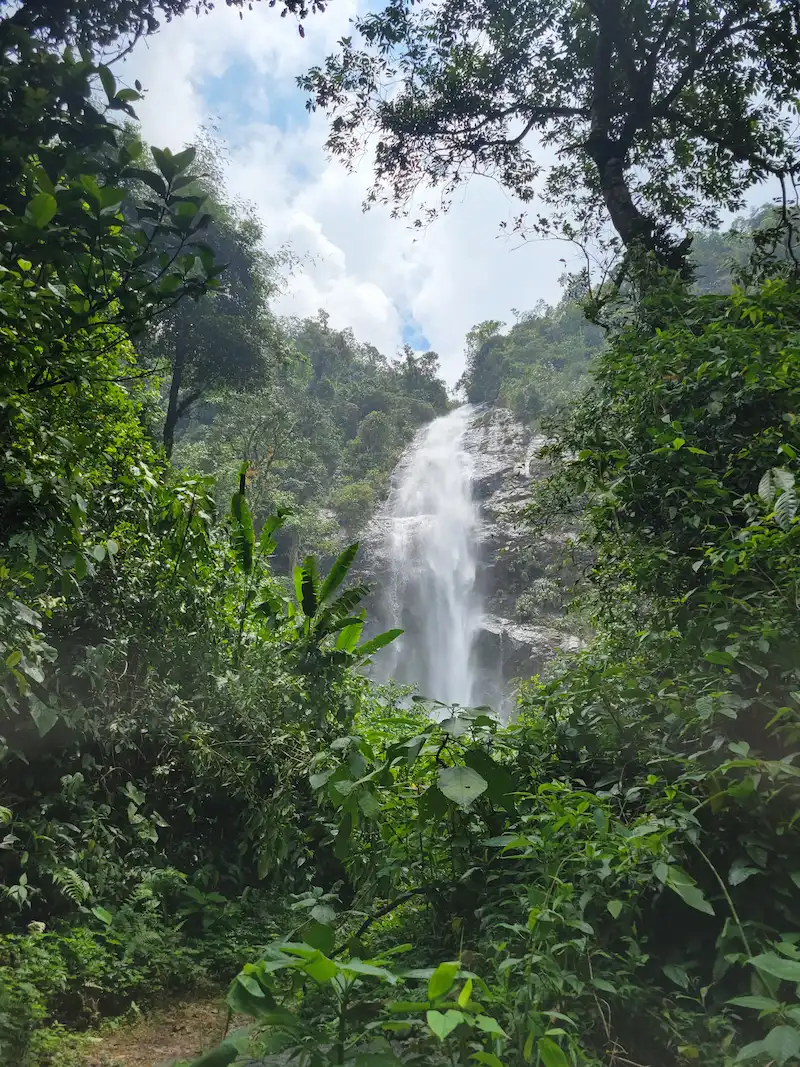 Cascada cayendo por un paredón rocoso entre la vegetación del bosque de Pance